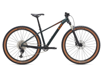  TEMPT 29er 0 2025