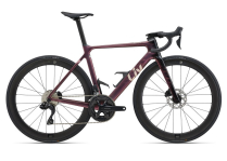  ENVILIV ADV 1 2025