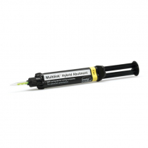 MULTILINK HYBRID ABUTMENT HO 0
