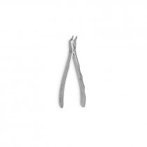 TOOTH FORCEPS DR. COMELLA
