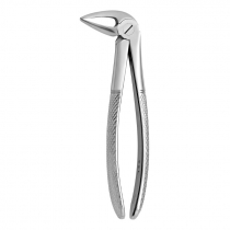 TOOTH FORCEPS N.33-L