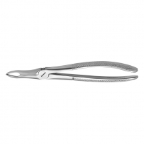 TOOTH FORCEPS N.49