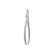 TOOTH FORCEPS N.51