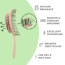 Sarah Beauty Detangling Brush - Swirl Shape (HS9326)
