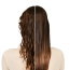 Tangle Teezer - The Ultimate Wet Detangler - Chrome - Champa