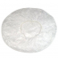 Shower Cap Disposable 10's