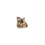 invisibobble - Everclaw - Leo Love