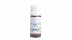 Salon Fresh Essential Oil Lemongrass 11ml
