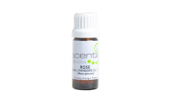 Essential Oil Rose Blend 11ml