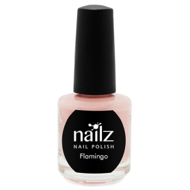 Nailz Nail Polish 15ml  Flamingo