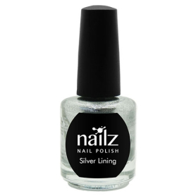 Nailz Nail Polish 15ml  Silver Lining