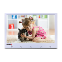 PR-IPS10-W 10.1" standalone LCD Monitor with IPS panel HDM1