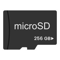 256GB MICRO SD C10