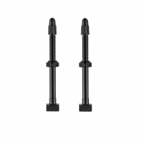 330000142 GIANT TUBELESS VALVE x2 FOR 65MM HIGH PROFILE RIM