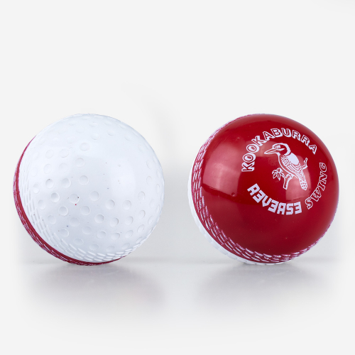 REVERSE SWING TRAINER
