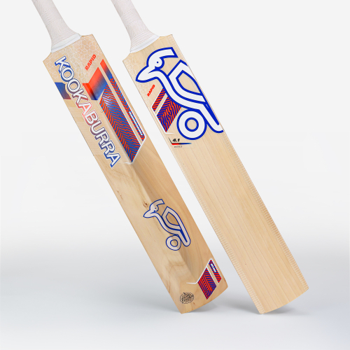 RAPID 4.1 HERO JUNIOR CRICKET BAT