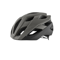 GIANT HELMET REV ELITE MIPS