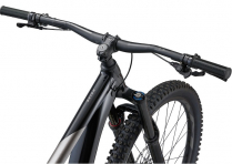 REIGN 29ER 2