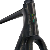 TCR ADV PRO FRAMESET 2025